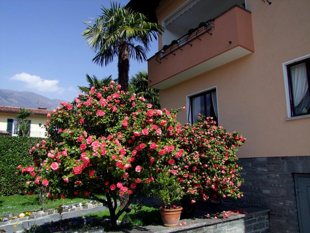 Apartment Casa Thuja Ascona Exterior foto